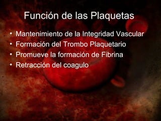 Función de las Plaquetas
•   Mantenimiento de la Integridad Vascular
•   Formación del Trombo Plaquetario
•   Promueve la formación de Fibrina
•   Retracción del coagulo
 