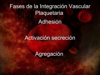 Fases de la Integración Vascular
          Plaquetaria
           Adhesión

     Activación secreción

          Agregación
 