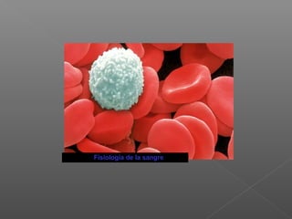 Fisiología de la sangre
 
