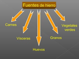 Fuentes de hierro



Carnes                            Vegetales
                                   verdes

         Vísceras            Granos


                    Huevos
 