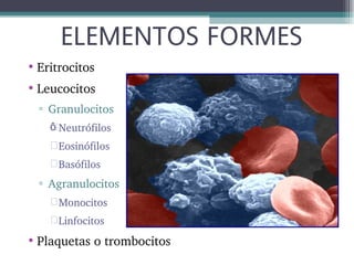 ELEMENTOS FORMES
• Eritrocitos
• Leucocitos
▫ Granulocitos 
 Neutrófilos
 Eosinófilos
 Basófilos

▫ Agranulocitos
 Monocitos
 Linfocitos 

• Plaquetas o trombocitos

 