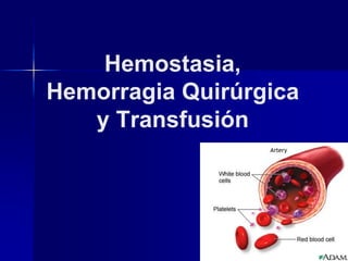 Hemostasia,
Hemorragia Quirúrgica
y Transfusión
 