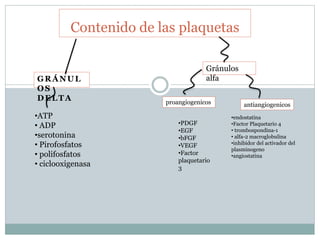 GRÁNUL
OS
DELTA
Contenido de las plaquetas
Gránulos
alfa
antiangiogenicosproangiogenicos
•PDGF
•EGF
•bFGF
•VEGF
•Factor
plaquetario
3
•endostatina
•Factor Plaquetario 4
• trombospondina-1
• alfa-2 macroglobulina
•inhibidor del activador del
plasminogeno
•angiostatina
•ATP
• ADP
•serotonina
• Pirofosfatos
• polifosfatos
• ciclooxigenasa
 