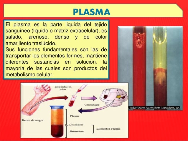 Evkaliptovaya la limpieza de los parásitos