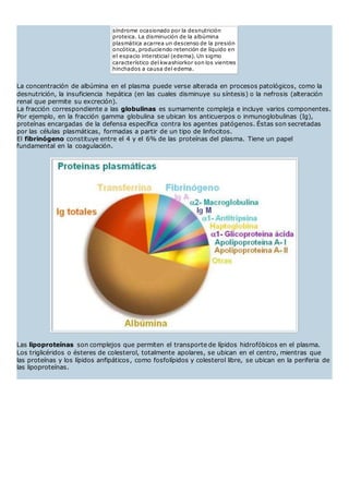 síndrome ocasionado por la desnutrición
proteica. La disminución de la albúmina
plasmática acarrea un descenso de la presión
oncótica, produciendo retención de líquido en
el espacio intersticial (edema). Un sigmo
característico del kwashiorkor son los vientres
hinchados a causa del edema.
La concentración de albúmina en el plasma puede verse alterada en procesos patológicos, como la
desnutrición, la insuficiencia hepática (en las cuales disminuye su síntesis) o la nefrosis (alteración
renal que permite su excreción).
La fracción correspondiente a las globulinas es sumamente compleja e incluye varios componentes.
Por ejemplo, en la fracción gamma globulina se ubican los anticuerpos o inmunoglobulinas (Ig),
proteínas encargadas de la defensa específica contra los agentes patógenos. Éstas son secretadas
por las células plasmáticas, formadas a partir de un tipo de linfocitos.
El fibrinógeno constituye entre el 4 y el 6% de las proteínas del plasma. Tiene un papel
fundamental en la coagulación.
Las lipoproteínas son complejos que permiten el transporte de lípidos hidrofóbicos en el plasma.
Los triglicéridos o ésteres de colesterol, totalmente apolares, se ubican en el centro, mientras que
las proteínas y los lípidos anfipáticos, como fosfolípidos y colesterol libre, se ubican en la periferia de
las lipoproteínas.
 