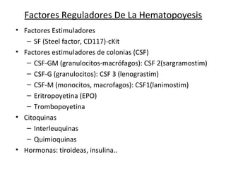 Factores Reguladores De La Hematopoyesis
• Factores Estimuladores
– SF (Steel factor, CD117)-cKit
• Factores estimuladores de colonias (CSF)
– CSF-GM (granulocitos-macrófagos): CSF 2(sargramostim)
– CSF-G (granulocitos): CSF 3 (lenograstim)
– CSF-M (monocitos, macrofagos): CSF1(lanimostim)
– Eritropoyetina (EPO)
– Trombopoyetina
• Citoquinas
– Interleuquinas
– Quimioquinas
• Hormonas: tiroideas, insulina..
 