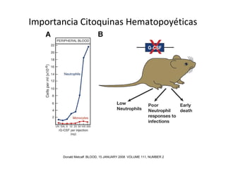 Importancia Citoquinas Hematopoyéticas
Donald Metcalf :BLOOD, 15 JANUARY 2008 VOLUME 111, NUMBER 2
 