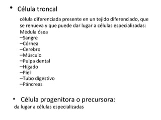 • Célula troncal
célula diferenciada presente en un tejido diferenciado, que
se renueva y que puede dar lugar a células especializadas:
Médula ósea
–Sangre
–Córnea
–Cerebro
–Músculo
–Pulpa dental
–Hígado
–Piel
–Tubo digestivo
–Páncreas
• Célula progenitora o precursora:
da lugar a células especializadas
 