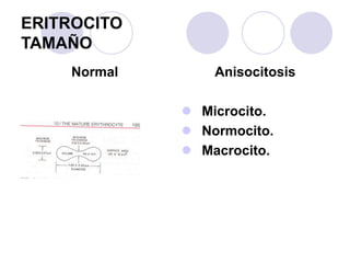 ERITROCITO
TAMAÑO
Normal Anisocitosis
 Microcito.
 Normocito.
 Macrocito.
 