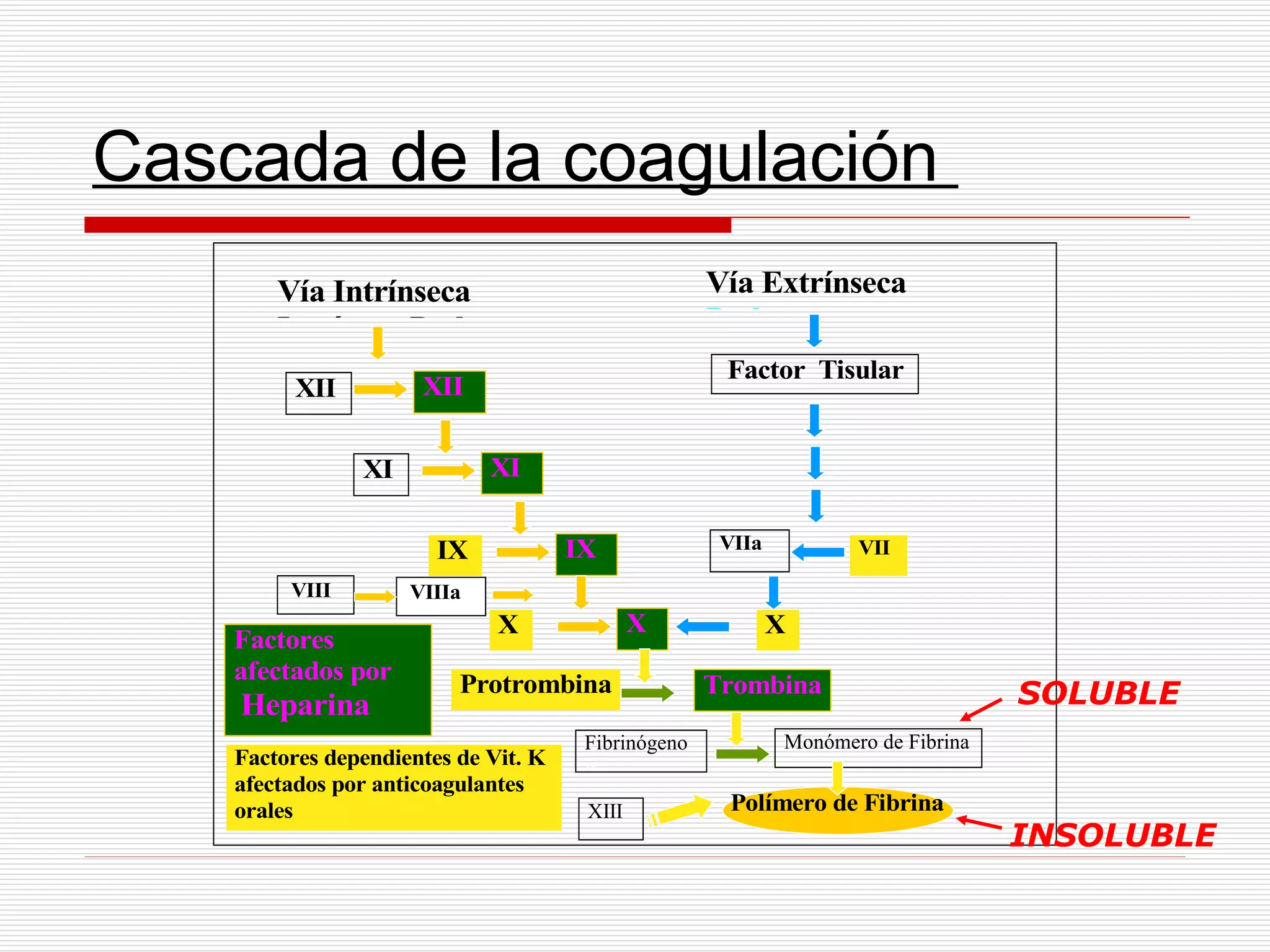 Sangre | PPT