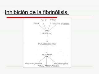 Inhibición de la fibrinólisis  