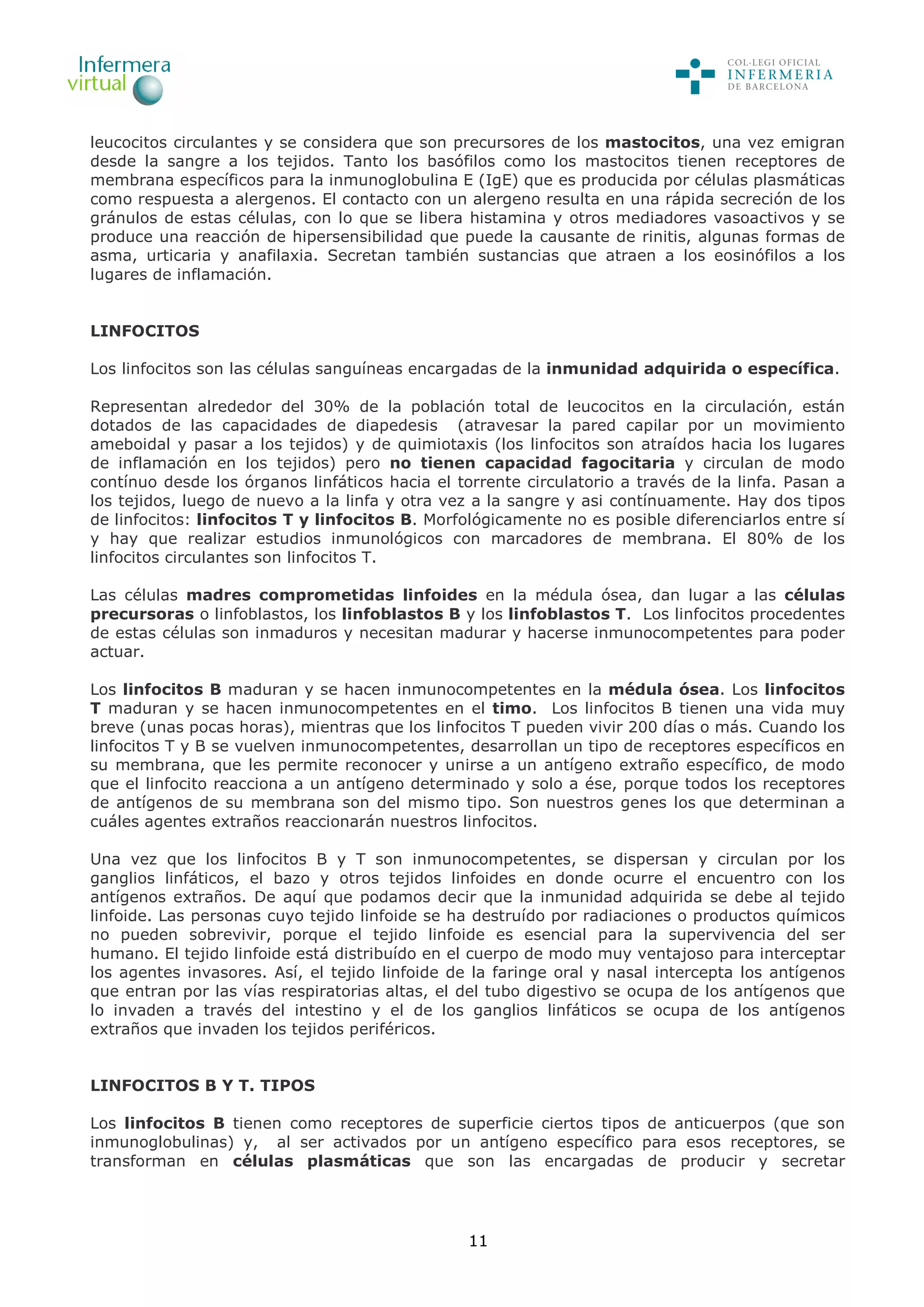 11
leucocitos circulantes y se considera que son precursores de los mastocitos, una vez emigran
desde la sangre a los tejidos. Tanto los basófilos como los mastocitos tienen receptores de
membrana específicos para la inmunoglobulina E (IgE) que es producida por células plasmáticas
como respuesta a alergenos. El contacto con un alergeno resulta en una rápida secreción de los
gránulos de estas células, con lo que se libera histamina y otros mediadores vasoactivos y se
produce una reacción de hipersensibilidad que puede la causante de rinitis, algunas formas de
asma, urticaria y anafilaxia. Secretan también sustancias que atraen a los eosinófilos a los
lugares de inflamación.
LINFOCITOS
Los linfocitos son las células sanguíneas encargadas de la inmunidad adquirida o específica.
Representan alrededor del 30% de la población total de leucocitos en la circulación, están
dotados de las capacidades de diapedesis (atravesar la pared capilar por un movimiento
ameboidal y pasar a los tejidos) y de quimiotaxis (los linfocitos son atraídos hacia los lugares
de inflamación en los tejidos) pero no tienen capacidad fagocitaria y circulan de modo
contínuo desde los órganos linfáticos hacia el torrente circulatorio a través de la linfa. Pasan a
los tejidos, luego de nuevo a la linfa y otra vez a la sangre y asi contínuamente. Hay dos tipos
de linfocitos: linfocitos T y linfocitos B. Morfológicamente no es posible diferenciarlos entre sí
y hay que realizar estudios inmunológicos con marcadores de membrana. El 80% de los
linfocitos circulantes son linfocitos T.
Las células madres comprometidas linfoides en la médula ósea, dan lugar a las células
precursoras o linfoblastos, los linfoblastos B y los linfoblastos T. Los linfocitos procedentes
de estas células son inmaduros y necesitan madurar y hacerse inmunocompetentes para poder
actuar.
Los linfocitos B maduran y se hacen inmunocompetentes en la médula ósea. Los linfocitos
T maduran y se hacen inmunocompetentes en el timo. Los linfocitos B tienen una vida muy
breve (unas pocas horas), mientras que los linfocitos T pueden vivir 200 días o más. Cuando los
linfocitos T y B se vuelven inmunocompetentes, desarrollan un tipo de receptores específicos en
su membrana, que les permite reconocer y unirse a un antígeno extraño específico, de modo
que el linfocito reacciona a un antígeno determinado y solo a ése, porque todos los receptores
de antígenos de su membrana son del mismo tipo. Son nuestros genes los que determinan a
cuáles agentes extraños reaccionarán nuestros linfocitos.
Una vez que los linfocitos B y T son inmunocompetentes, se dispersan y circulan por los
ganglios linfáticos, el bazo y otros tejidos linfoides en donde ocurre el encuentro con los
antígenos extraños. De aquí que podamos decir que la inmunidad adquirida se debe al tejido
linfoide. Las personas cuyo tejido linfoide se ha destruído por radiaciones o productos químicos
no pueden sobrevivir, porque el tejido linfoide es esencial para la supervivencia del ser
humano. El tejido linfoide está distribuído en el cuerpo de modo muy ventajoso para interceptar
los agentes invasores. Así, el tejido linfoide de la faringe oral y nasal intercepta los antígenos
que entran por las vías respiratorias altas, el del tubo digestivo se ocupa de los antígenos que
lo invaden a través del intestino y el de los ganglios linfáticos se ocupa de los antígenos
extraños que invaden los tejidos periféricos.
LINFOCITOS B Y T. TIPOS
Los linfocitos B tienen como receptores de superficie ciertos tipos de anticuerpos (que son
inmunoglobulinas) y, al ser activados por un antígeno específico para esos receptores, se
transforman en células plasmáticas que son las encargadas de producir y secretar
 