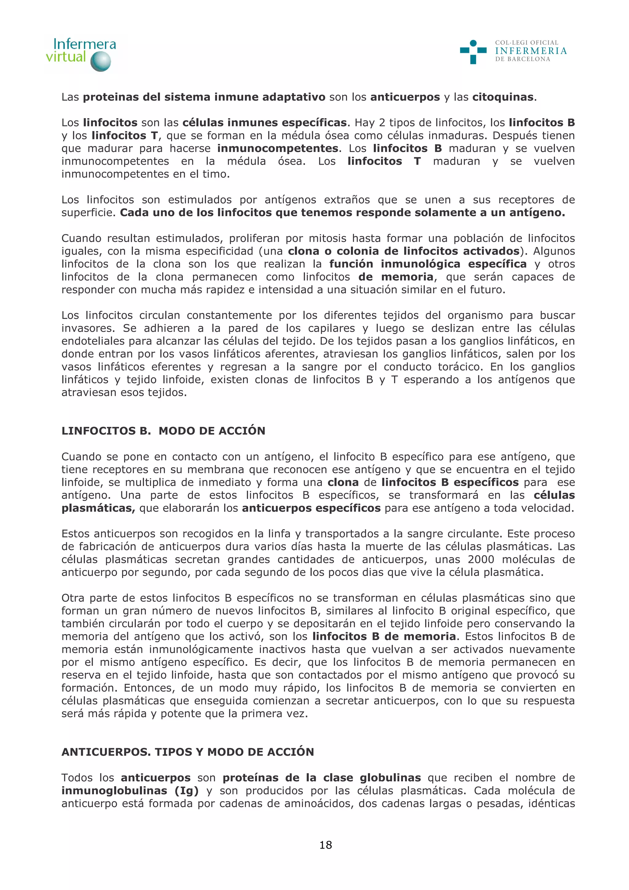 18
Las proteinas del sistema inmune adaptativo son los anticuerpos y las citoquinas.
Los linfocitos son las células inmunes específicas. Hay 2 tipos de linfocitos, los linfocitos B
y los linfocitos T, que se forman en la médula ósea como células inmaduras. Después tienen
que madurar para hacerse inmunocompetentes. Los linfocitos B maduran y se vuelven
inmunocompetentes en la médula ósea. Los linfocitos T maduran y se vuelven
inmunocompetentes en el timo.
Los linfocitos son estimulados por antígenos extraños que se unen a sus receptores de
superficie. Cada uno de los linfocitos que tenemos responde solamente a un antígeno.
Cuando resultan estimulados, proliferan por mitosis hasta formar una población de linfocitos
iguales, con la misma especificidad (una clona o colonia de linfocitos activados). Algunos
linfocitos de la clona son los que realizan la función inmunológica específica y otros
linfocitos de la clona permanecen como linfocitos de memoria, que serán capaces de
responder con mucha más rapidez e intensidad a una situación similar en el futuro.
Los linfocitos circulan constantemente por los diferentes tejidos del organismo para buscar
invasores. Se adhieren a la pared de los capilares y luego se deslizan entre las células
endoteliales para alcanzar las células del tejido. De los tejidos pasan a los ganglios linfáticos, en
donde entran por los vasos linfáticos aferentes, atraviesan los ganglios linfáticos, salen por los
vasos linfáticos eferentes y regresan a la sangre por el conducto torácico. En los ganglios
linfáticos y tejido linfoide, existen clonas de linfocitos B y T esperando a los antígenos que
atraviesan esos tejidos.
LINFOCITOS B. MODO DE ACCIÓN
Cuando se pone en contacto con un antígeno, el linfocito B específico para ese antígeno, que
tiene receptores en su membrana que reconocen ese antígeno y que se encuentra en el tejido
linfoide, se multiplica de inmediato y forma una clona de linfocitos B específicos para ese
antígeno. Una parte de estos linfocitos B específicos, se transformará en las células
plasmáticas, que elaborarán los anticuerpos específicos para ese antígeno a toda velocidad.
Estos anticuerpos son recogidos en la linfa y transportados a la sangre circulante. Este proceso
de fabricación de anticuerpos dura varios días hasta la muerte de las células plasmáticas. Las
células plasmáticas secretan grandes cantidades de anticuerpos, unas 2000 moléculas de
anticuerpo por segundo, por cada segundo de los pocos dias que vive la célula plasmática.
Otra parte de estos linfocitos B específicos no se transforman en células plasmáticas sino que
forman un gran número de nuevos linfocitos B, similares al linfocito B original específico, que
también circularán por todo el cuerpo y se depositarán en el tejido linfoide pero conservando la
memoria del antígeno que los activó, son los linfocitos B de memoria. Estos linfocitos B de
memoria están inmunológicamente inactivos hasta que vuelvan a ser activados nuevamente
por el mismo antígeno específico. Es decir, que los linfocitos B de memoria permanecen en
reserva en el tejido linfoide, hasta que son contactados por el mismo antígeno que provocó su
formación. Entonces, de un modo muy rápido, los linfocitos B de memoria se convierten en
células plasmáticas que enseguida comienzan a secretar anticuerpos, con lo que su respuesta
será más rápida y potente que la primera vez.
ANTICUERPOS. TIPOS Y MODO DE ACCIÓN
Todos los anticuerpos son proteínas de la clase globulinas que reciben el nombre de
inmunoglobulinas (Ig) y son producidos por las células plasmáticas. Cada molécula de
anticuerpo está formada por cadenas de aminoácidos, dos cadenas largas o pesadas, idénticas
 