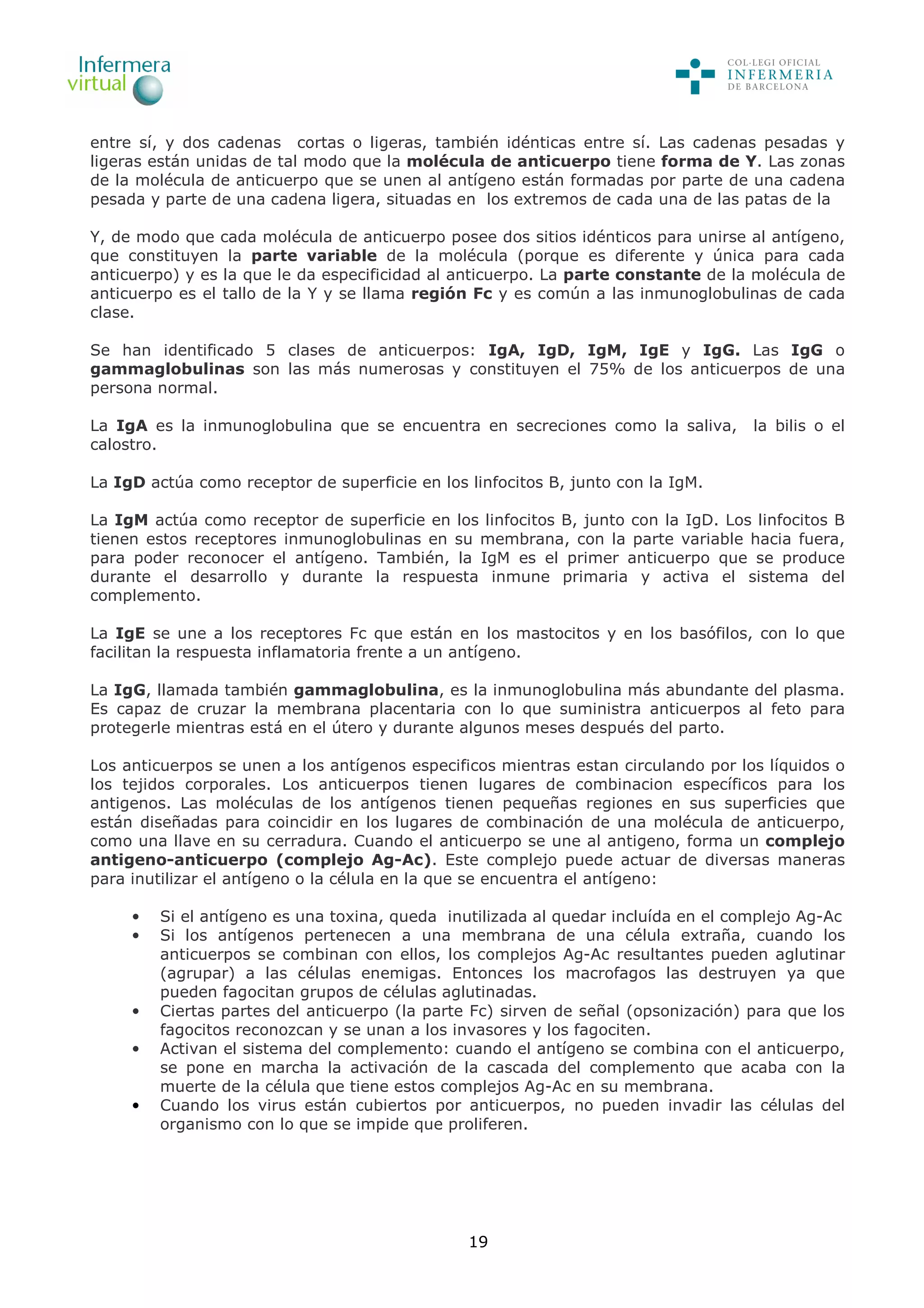 19
entre sí, y dos cadenas cortas o ligeras, también idénticas entre sí. Las cadenas pesadas y
ligeras están unidas de tal modo que la molécula de anticuerpo tiene forma de Y. Las zonas
de la molécula de anticuerpo que se unen al antígeno están formadas por parte de una cadena
pesada y parte de una cadena ligera, situadas en los extremos de cada una de las patas de la
Y, de modo que cada molécula de anticuerpo posee dos sitios idénticos para unirse al antígeno,
que constituyen la parte variable de la molécula (porque es diferente y única para cada
anticuerpo) y es la que le da especificidad al anticuerpo. La parte constante de la molécula de
anticuerpo es el tallo de la Y y se llama región Fc y es común a las inmunoglobulinas de cada
clase.
Se han identificado 5 clases de anticuerpos: IgA, IgD, IgM, IgE y IgG. Las IgG o
gammaglobulinas son las más numerosas y constituyen el 75% de los anticuerpos de una
persona normal.
La IgA es la inmunoglobulina que se encuentra en secreciones como la saliva, la bilis o el
calostro.
La IgD actúa como receptor de superficie en los linfocitos B, junto con la IgM.
La IgM actúa como receptor de superficie en los linfocitos B, junto con la IgD. Los linfocitos B
tienen estos receptores inmunoglobulinas en su membrana, con la parte variable hacia fuera,
para poder reconocer el antígeno. También, la IgM es el primer anticuerpo que se produce
durante el desarrollo y durante la respuesta inmune primaria y activa el sistema del
complemento.
La IgE se une a los receptores Fc que están en los mastocitos y en los basófilos, con lo que
facilitan la respuesta inflamatoria frente a un antígeno.
La IgG, llamada también gammaglobulina, es la inmunoglobulina más abundante del plasma.
Es capaz de cruzar la membrana placentaria con lo que suministra anticuerpos al feto para
protegerle mientras está en el útero y durante algunos meses después del parto.
Los anticuerpos se unen a los antígenos especificos mientras estan circulando por los líquidos o
los tejidos corporales. Los anticuerpos tienen lugares de combinacion específicos para los
antigenos. Las moléculas de los antígenos tienen pequeñas regiones en sus superficies que
están diseñadas para coincidir en los lugares de combinación de una molécula de anticuerpo,
como una llave en su cerradura. Cuando el anticuerpo se une al antigeno, forma un complejo
antigeno-anticuerpo (complejo Ag-Ac). Este complejo puede actuar de diversas maneras
para inutilizar el antígeno o la célula en la que se encuentra el antígeno:
• Si el antígeno es una toxina, queda inutilizada al quedar incluída en el complejo Ag-Ac
• Si los antígenos pertenecen a una membrana de una célula extraña, cuando los
anticuerpos se combinan con ellos, los complejos Ag-Ac resultantes pueden aglutinar
(agrupar) a las células enemigas. Entonces los macrofagos las destruyen ya que
pueden fagocitan grupos de células aglutinadas.
• Ciertas partes del anticuerpo (la parte Fc) sirven de señal (opsonización) para que los
fagocitos reconozcan y se unan a los invasores y los fagociten.
• Activan el sistema del complemento: cuando el antígeno se combina con el anticuerpo,
se pone en marcha la activación de la cascada del complemento que acaba con la
muerte de la célula que tiene estos complejos Ag-Ac en su membrana.
• Cuando los virus están cubiertos por anticuerpos, no pueden invadir las células del
organismo con lo que se impide que proliferen.
 