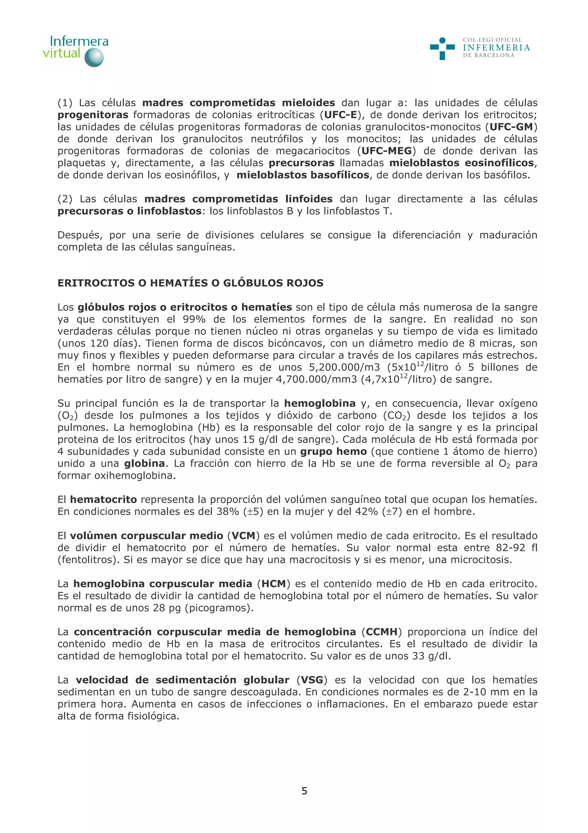 5
(1) Las células madres comprometidas mieloides dan lugar a: las unidades de células
progenitoras formadoras de colonias eritrocíticas (UFC-E), de donde derivan los eritrocitos;
las unidades de células progenitoras formadoras de colonias granulocitos-monocitos (UFC-GM)
de donde derivan los granulocitos neutrófilos y los monocitos; las unidades de células
progenitoras formadoras de colonias de megacariocitos (UFC-MEG) de donde derivan las
plaquetas y, directamente, a las células precursoras llamadas mieloblastos eosinofílicos,
de donde derivan los eosinófilos, y mieloblastos basofílicos, de donde derivan los basófilos.
(2) Las células madres comprometidas linfoides dan lugar directamente a las células
precursoras o linfoblastos: los linfoblastos B y los linfoblastos T.
Después, por una serie de divisiones celulares se consigue la diferenciación y maduración
completa de las células sanguíneas.
ERITROCITOS O HEMATÍES O GLÓBULOS ROJOS
Los glóbulos rojos o eritrocitos o hematíes son el tipo de célula más numerosa de la sangre
ya que constituyen el 99% de los elementos formes de la sangre. En realidad no son
verdaderas células porque no tienen núcleo ni otras organelas y su tiempo de vida es limitado
(unos 120 días). Tienen forma de discos bicóncavos, con un diámetro medio de 8 micras, son
muy finos y flexibles y pueden deformarse para circular a través de los capilares más estrechos.
En el hombre normal su número es de unos 5,200.000/m3 (5x1012
/litro ó 5 billones de
hematíes por litro de sangre) y en la mujer 4,700.000/mm3 (4,7x1012
/litro) de sangre.
Su principal función es la de transportar la hemoglobina y, en consecuencia, llevar oxígeno
(O2) desde los pulmones a los tejidos y dióxido de carbono (CO2) desde los tejidos a los
pulmones. La hemoglobina (Hb) es la responsable del color rojo de la sangre y es la principal
proteina de los eritrocitos (hay unos 15 g/dl de sangre). Cada molécula de Hb está formada por
4 subunidades y cada subunidad consiste en un grupo hemo (que contiene 1 átomo de hierro)
unido a una globina. La fracción con hierro de la Hb se une de forma reversible al O2 para
formar oxihemoglobina.
El hematocrito representa la proporción del volúmen sanguíneo total que ocupan los hematíes.
En condiciones normales es del 38% (±5) en la mujer y del 42% (±7) en el hombre.
El volúmen corpuscular medio (VCM) es el volúmen medio de cada eritrocito. Es el resultado
de dividir el hematocrito por el número de hematíes. Su valor normal esta entre 82-92 fl
(fentolitros). Si es mayor se dice que hay una macrocitosis y si es menor, una microcitosis.
La hemoglobina corpuscular media (HCM) es el contenido medio de Hb en cada eritrocito.
Es el resultado de dividir la cantidad de hemoglobina total por el número de hematíes. Su valor
normal es de unos 28 pg (picogramos).
La concentración corpuscular media de hemoglobina (CCMH) proporciona un índice del
contenido medio de Hb en la masa de eritrocitos circulantes. Es el resultado de dividir la
cantidad de hemoglobina total por el hematocrito. Su valor es de unos 33 g/dl.
La velocidad de sedimentación globular (VSG) es la velocidad con que los hematíes
sedimentan en un tubo de sangre descoagulada. En condiciones normales es de 2-10 mm en la
primera hora. Aumenta en casos de infecciones o inflamaciones. En el embarazo puede estar
alta de forma fisiológica.
 