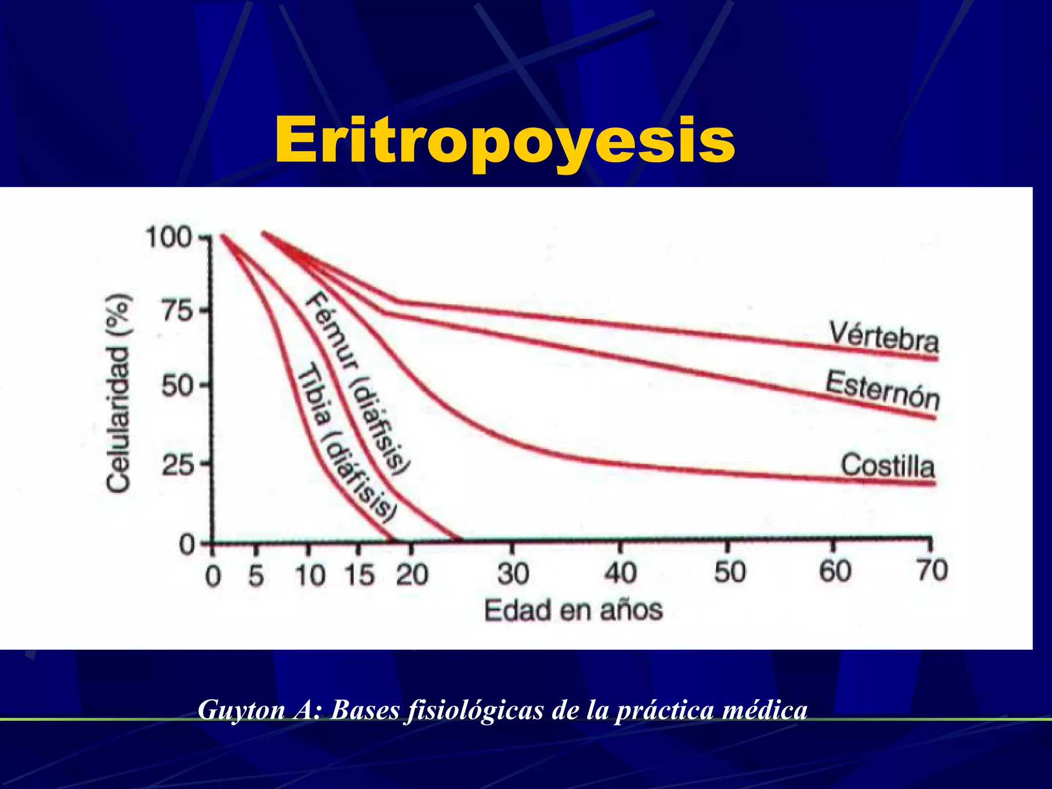 Eritropoyesis




Guyton A: Bases fisiológicas de la práctica médica
 