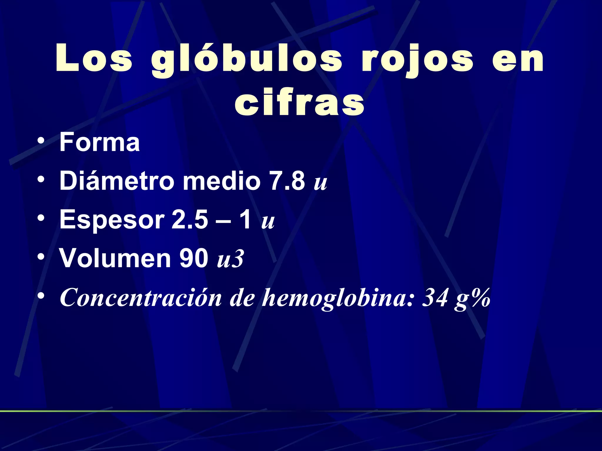Los glóbulos rojos en
           cifras
•   Forma
•   Diámetro medio 7.8 u
•   Espesor 2.5 – 1 u
•   Volumen 90 u3
•   Concentración de hemoglobina: 34 g%
 