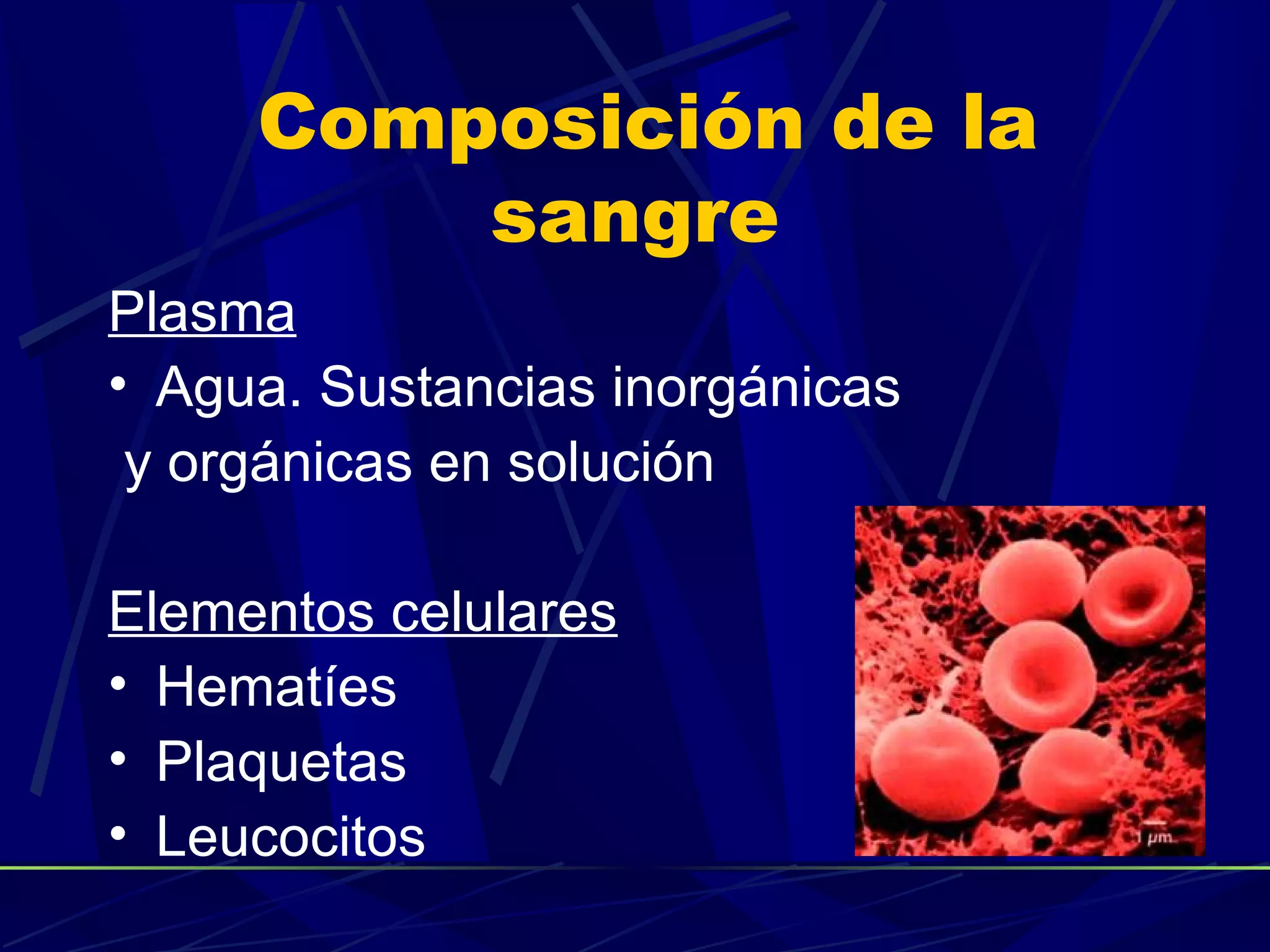 Composición de la
         sangre
Plasma
• Agua. Sustancias inorgánicas
 y orgánicas en solución

Elementos celulares
• Hematíes
• Plaquetas
• Leucocitos
 