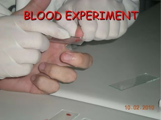 BLOOD EXPERIMENT 
