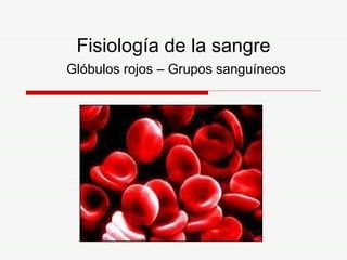 Fisiología de la sangre   Glóbulos rojos – Grupos sanguíneos 