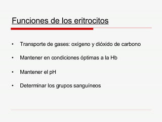Funciones de los eritrocitos Transporte de gases: oxígeno y dióxido de carbono Mantener en condiciones óptimas a la Hb Mantener el pH Determinar los grupos sanguíneos 