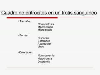 Cuadro de eritrocitos en un frotis sanguíneo Tamaño:  Normocitosis Macrocitosis Microcitosis Forma:  Discocito Esferocito Acantocito otros Coloración:  Normocromía Hipocromía Discromía 