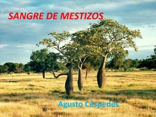 SANGRE DE MESTIZOS

Agusto Céspedes

 