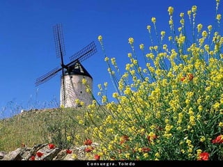 Consuegra, Toledo 