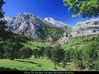 Picos de Europa, Parque Nacional, Asturias 