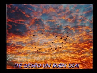 ¡TE DESEO UN BUEN DIA!  