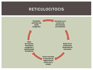 RETICULOCITOCIS
Aumento en el
numero de
reticulocitos
circundantes
Señal de la
producción
acelerada de
eritrocitos
Ocurre durante
el proceso de
regeneración
activa de la
sangre
tipos
de anemia,
hemolítica
congénita y
esferocitosis
hereditaria
Condición
anómala del
tejido
sanguíneo
 