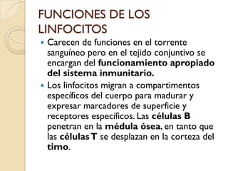 FUNCIONES DE LOS
LINFOCITOS
 Carecen de funciones en el torrente
  sanguíneo pero en el tejido conjuntivo se
  encargan del funcionamiento apropiado
  del sistema inmunitario.
 Los linfocitos migran a compartimentos
  específicos del cuerpo para madurar y
  expresar marcadores de superficie y
  receptores específicos. Las células B
  penetran en la médula ósea, en tanto que
  las células T se desplazan en la corteza del
  timo.
 