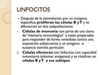 LINFOCITOS
 Después de la estimulación por un antígeno
  específico, proliferan las células B y T y se
  diferencian en dos subpoblaciones:
1. Células de memoria: son parte de una clona
   de “memoria inmunológica” y están preparadas
   para responder de forma inmediata contra una
   exposición subsecuente a un antígeno o
   sustancia extraña particular.
2. Células efectoras: son linfocitos con capacidad
   inmunitaria (eliminar antígenos) y se clasifican en
   células B y T y sus subtipos.
 