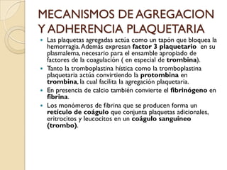 MECANISMOS DE AGREGACION
Y ADHERENCIA PLAQUETARIA
 Las plaquetas agregadas actúa como un tapón que bloquea la
  hemorragia. Además expresan factor 3 plaquetario en su
  plasmalema, necesario para el ensamble apropiado de
  factores de la coagulación ( en especial de trombina).
 Tanto la tromboplastina hística como la tromboplastina
  plaquetaria actúa convirtiendo la protombina en
  trombina, la cual facilita la agregación plaquetaria.
 En presencia de calcio también convierte el fibrinógeno en
  fibrina.
 Los monómeros de fibrina que se producen forma un
  retículo de coágulo que conjunta plaquetas adicionales,
  eritrocitos y leucocitos en un coágulo sanguíneo
  (trombo).
 