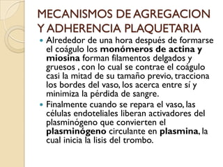 MECANISMOS DE AGREGACION
Y ADHERENCIA PLAQUETARIA
 Alrededor de una hora después de formarse
  el coágulo los monómeros de actina y
  miosina forman filamentos delgados y
  gruesos , con lo cual se contrae el coágulo
  casi la mitad de su tamaño previo, tracciona
  los bordes del vaso, los acerca entre sí y
  minimiza la pérdida de sangre.
 Finalmente cuando se repara el vaso, las
  células endoteliales liberan activadores del
  plasminógeno que convierten el
  plasminógeno circulante en plasmina, la
  cual inicia la lisis del trombo.
 