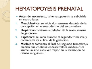 HEMATOPOYESIS PRENATAL
    Antes del nacimiento, la hematopoyesis se subdivide
     en cuatro fases:
1.    Mesoblástica: se inicia dos semanas después de la
      concepción en el mesodermo del saco vitelino.
2.    Hepática: comienza alrededor de la sexta semana
      de gestación.
3.    Esplénica: se inicia durante el segundo trimestre y
      continúa hasta el final de la gestación.
4.    Mieloide: comienza al final del segundo trimestre, a
      medida que continúa el desarrollo la médula ósea
      asume un sitio cada vez mayor en la formación de
      células sanguíneas.
 