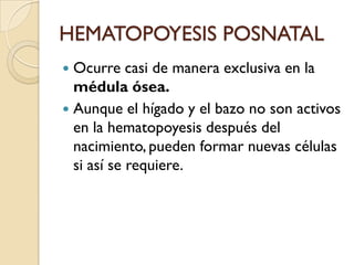 HEMATOPOYESIS POSNATAL
 Ocurre casi de manera exclusiva en la
  médula ósea.
 Aunque el hígado y el bazo no son activos
  en la hematopoyesis después del
  nacimiento, pueden formar nuevas células
  si así se requiere.
 