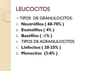 LEUCOCITOS
 TIPOS DE GRANULOCITOS:
1. Neutrófilos ( 60-70% )
2. Eosinófilos ( 4% )
3. Basófilos ( -1% )
 TIPOS DE AGRANULOCITOS
1. Linfocitos ( 20-25% )
2. Monocitos (3-8% )
 