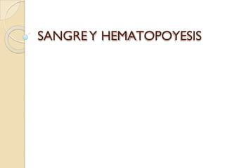 SANGREY HEMATOPOYESIS
 