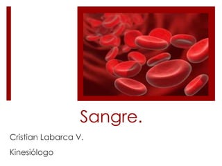 Sangre.
Cristian Labarca V.
Kinesiólogo
 