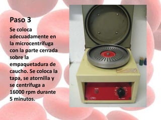 Paso 3
Se coloca
adecuadamente en
la microcentrífuga
con la parte cerrada
sobre la
empaquetadura de
caucho. Se coloca la
tapa, se atornilla y
se centrifuga a
16000 rpm durante
5 minutos.
 
