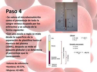 Paso 4
• Se valora el microhematócrito
como el porcentaje de toda la
sangre venosa ocupada por los
eritrocitos y se calcula de la
forma siguiente:
•Con una escala o regla se mide
desde la superficie de la
separación de plastilina hasta el
menisco del plasma
(100%), después se mide el
paquete globular y se determina
el porcentaje que le
corresponde.
•Valores de referencia:
•Hombres: 45-57%.
•Mujeres: 42-48%
 