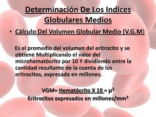 Determinación De Los Indices
Globulares Medios
• Cálculo Del Volumen Globular Medio (V.G.M)
Es el promedio del volumen del eritrocito y se
obtiene Multiplicando el valor del
microhematócrito por 10 Y dividiendo entre la
cantidad resultante de la cuenta de los
eritrocitos, expresada en millones.
VGM= Hematócrito X 10 = µ3
Eritrocitos expresados en millones/mm3
 