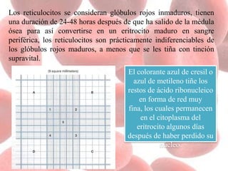 Los reticulocitos se consideran glóbulos rojos inmaduros, tienen
una duración de 24-48 horas después de que ha salido de la médula
ósea para así convertirse en un eritrocito maduro en sangre
periférica, los reticulocitos son prácticamente indiferenciables de
los glóbulos rojos maduros, a menos que se les tiña con tinción
supravital.
El colorante azul de cresil o
azul de metileno tiñe los
restos de ácido ribonucleico
en forma de red muy
fina, los cuales permanecen
en el citoplasma del
eritrocito algunos días
después de haber perdido su
núcleo.
 