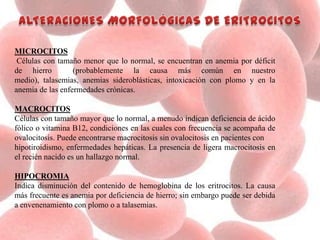MICROCITOS
Células con tamaño menor que lo normal, se encuentran en anemia por déficit
de hierro (probablemente la causa más común en nuestro
medio), talasemias, anemias sideroblásticas, intoxicación con plomo y en la
anemia de las enfermedades crónicas.
MACROCITOS
Células con tamaño mayor que lo normal, a menudo indican deficiencia de ácido
fólico o vitamina B12, condiciones en las cuales con frecuencia se acompaña de
ovalocitosis. Puede encontrarse macrocitosis sin ovalocitosis en pacientes con
hipotiroidismo, enfermedades hepáticas. La presencia de ligera macrocitosis en
el recién nacido es un hallazgo normal.
HIPOCROMIA
Indica disminución del contenido de hemoglobina de los eritrocitos. La causa
más frecuente es anemia por deficiencia de hierro; sin embargo puede ser debida
a envenenamiento con plomo o a talasemias.
 