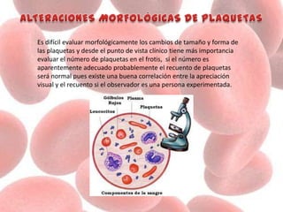 Es difícil evaluar morfológicamente los cambios de tamaño y forma de
las plaquetas y desde el punto de vista clínico tiene más importancia
evaluar el número de plaquetas en el frotis, si el número es
aparentemente adecuado probablemente el recuento de plaquetas
será normal pues existe una buena correlación entre la apreciación
visual y el recuento si el observador es una persona experimentada.
 