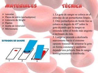  Lancetas
 Placas de vidrio (portaobjetos)
 Colorante de Wright
 Pipetas
 Aceite de inmersión
 Microscopio.
1. La gota de sangre se coloca en el
extremo de un portaobjetos limpio.
2. Otro portaobjetos de borde liso se
coloca en ángulo de 45º sobre la
gota dejando que la sangre se
extienda sobre el bordo más angosto
e inclinado de ésta.
3. Luego se procede a deslizarla
suavemente hacia el extremo
opuesto tratando de arrastrar la gota
en forma constante y uniforme
dejando una película fina de sangre
homogéneamente distribuida.
 