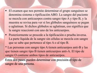  El examen que nos permite determinar el grupo sanguíneo se
denomina sistema o tipificación ABO. La sangre del paciente
se mezcla con anticuerpos contra sangre tipo A y tipo B, y la
muestra se revisa para ver si los glóbulos sanguíneos se pegan
o aglutinan. Si dichos glóbulos se aglutinan, eso significa que
la sangre reaccionó con uno de los anticuerpos.
 Posteriormente se procede a la tipificación o prueba inversa.
La parte líquida de la sangre sin células se mezcla con sangre
que se sabe que pertenece al tipo A o al tipo B.
* Las personas con sangre tipo A tienen anticuerpos anti-B y las
que tienen sangre tipo B tienen anticuerpos anti-A. El tipo de
sangre O contiene ambos tipos de anticuerpos.
Estos dos pasos pueden determinar con precisión el tipo de
sangre de una persona.
 