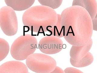 PLASMA
SANGUINEO
 
