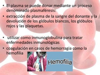 • El plasma se puede donar mediante un proceso
denominado plasmaféresis:
• extracción de plasma de la sangre del donante y la
devolución de los glóbulos blancos, los glóbulos
rojos y las plaquetas.
• utilizar como inmunoglobulina para tratar
enfermedades inmunológicas
• coagulación en casos de hemorragia como la
hemofilia
 